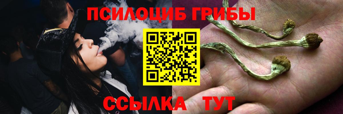 Псилоцибиновые грибы мицелий  Псилоцибиновые грибы мухоморы  Вход с VPN  что такое   Алексеевка 